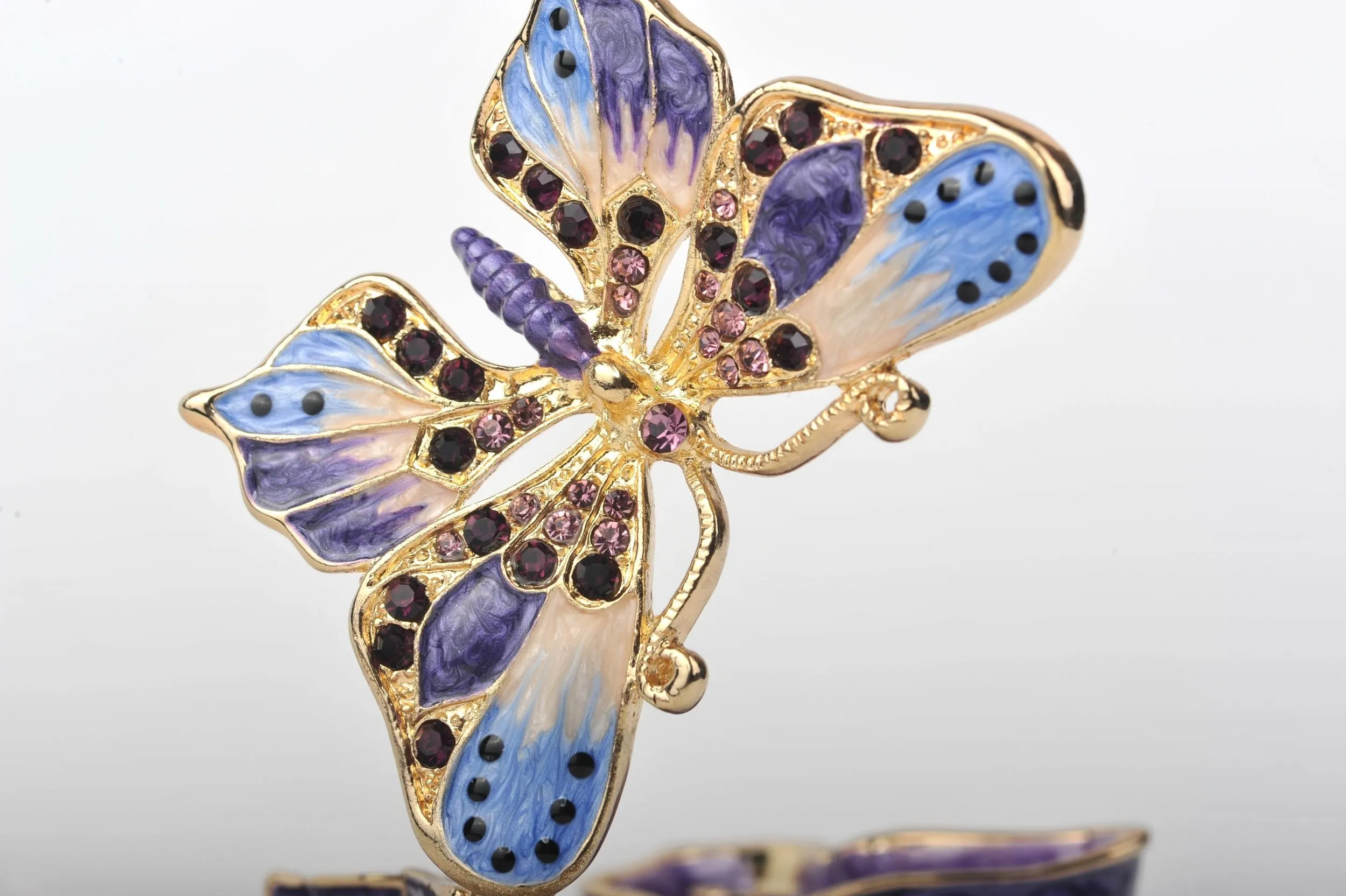 Blue & Purple Butterfly