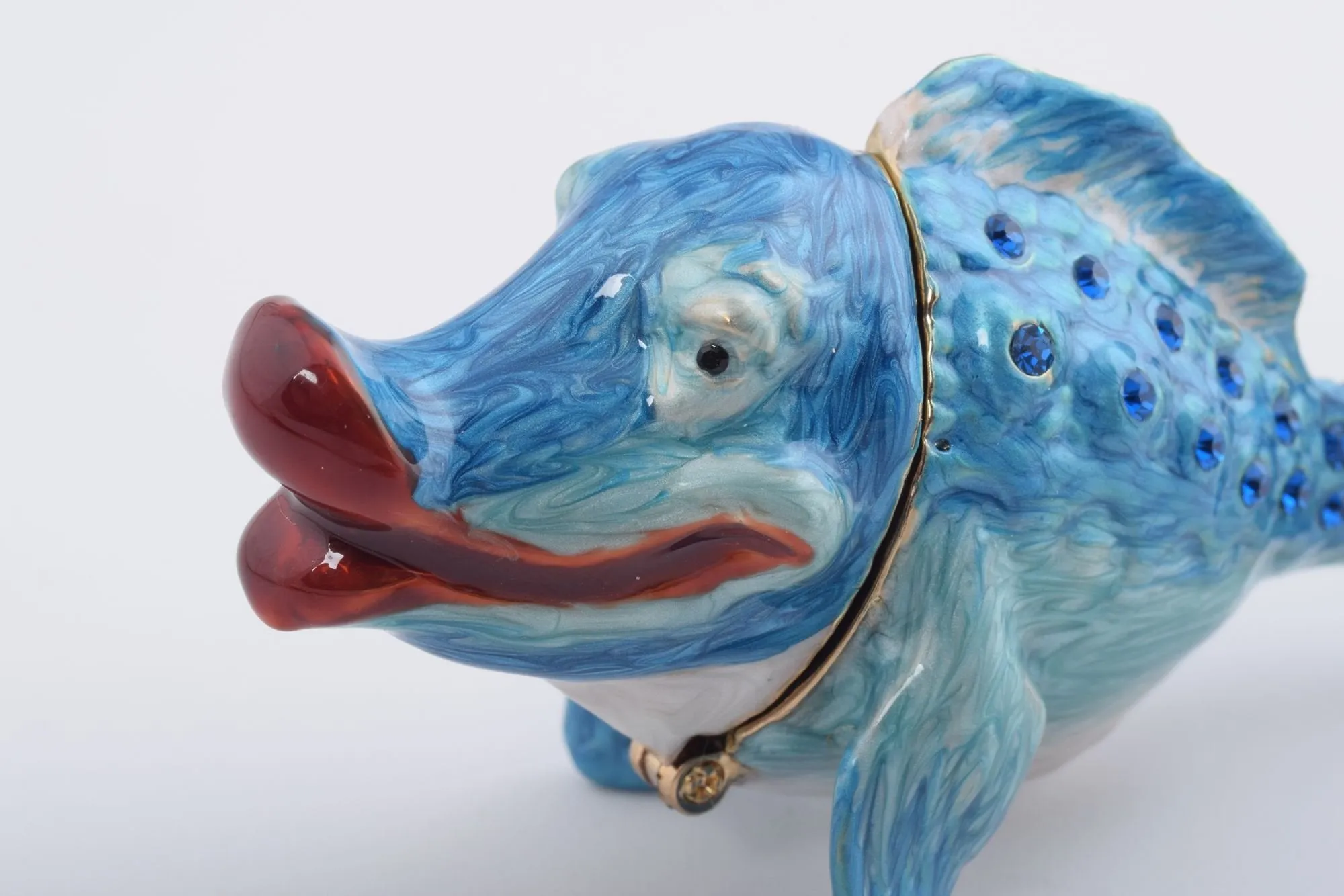 Blue Lady-Fish