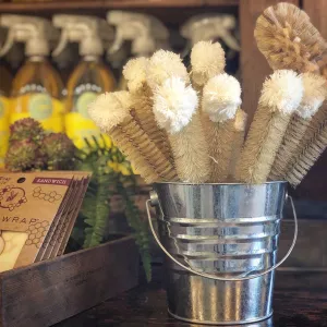 Bottle Brush - Cotton Top