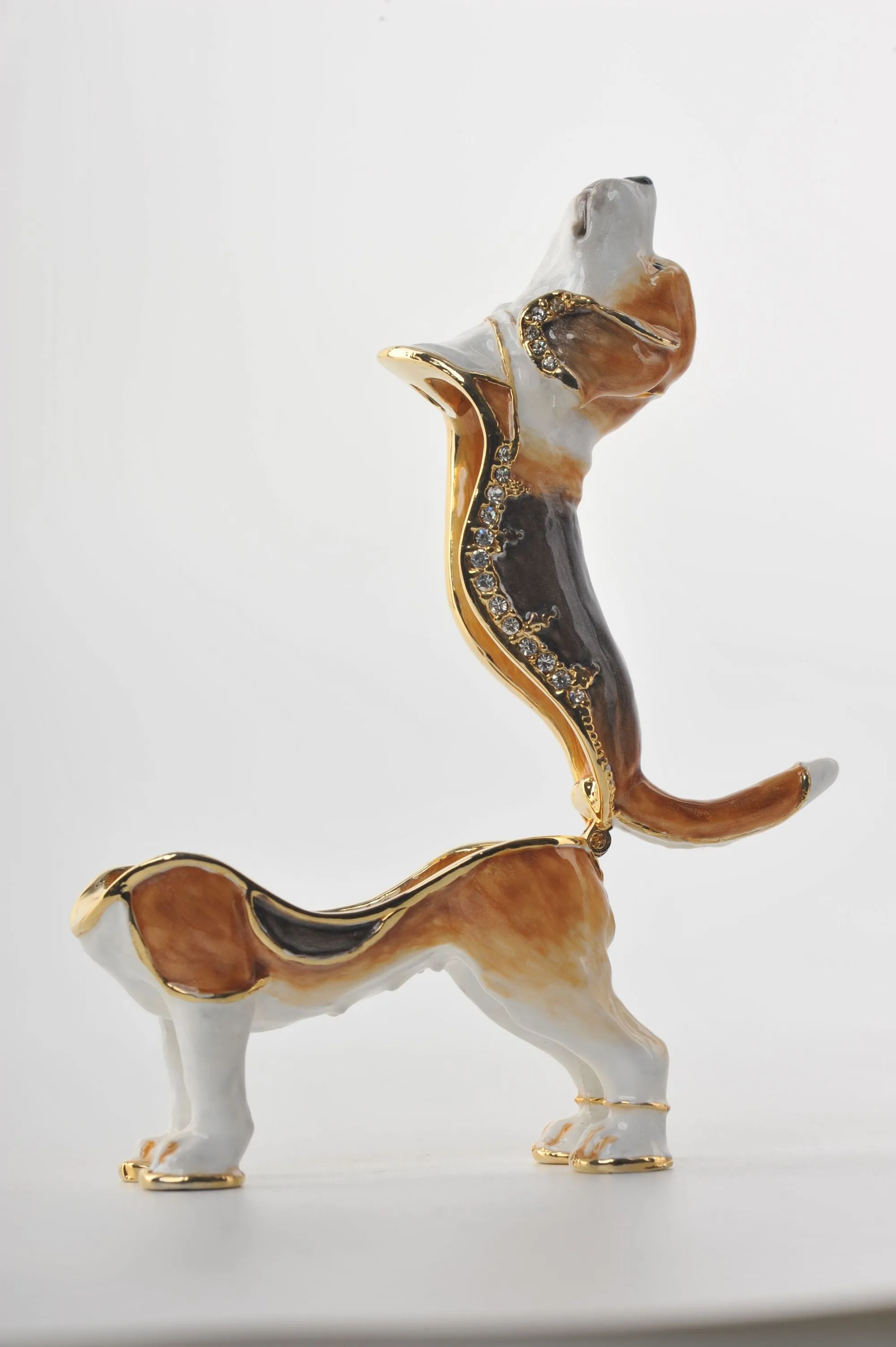 Brown & White Dog