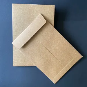 Courier Envelope (pack of 200)
