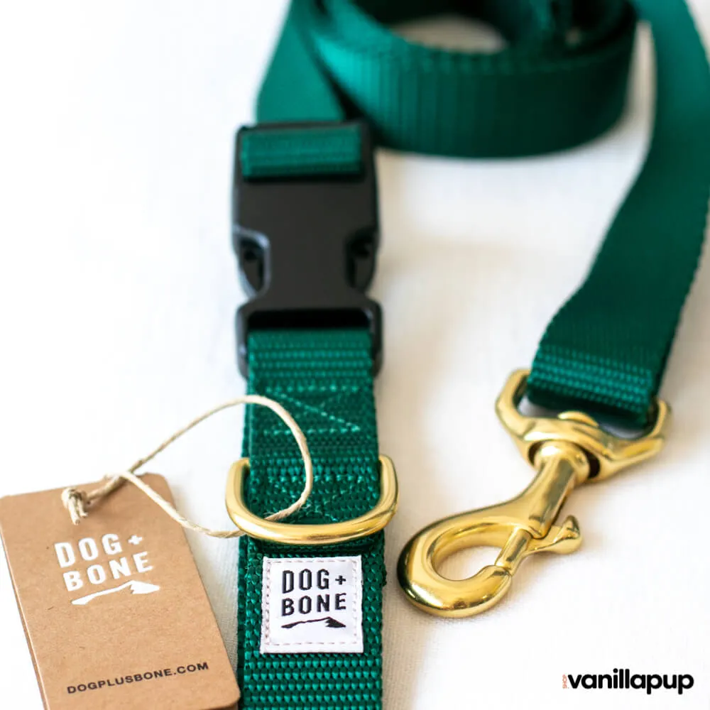Dog   Bone Multi-way Adjustable Leash | Forest