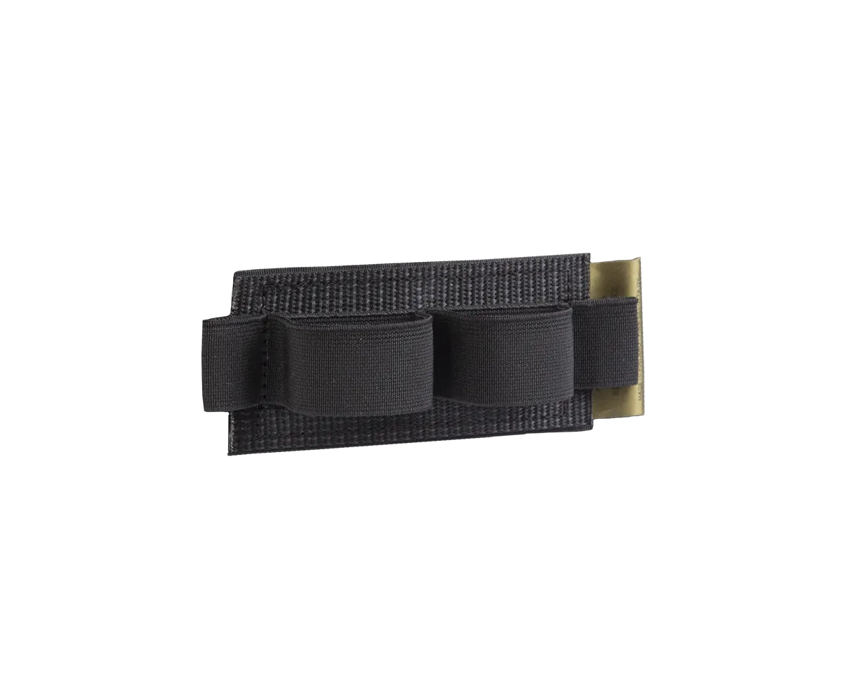 Elastic organizer