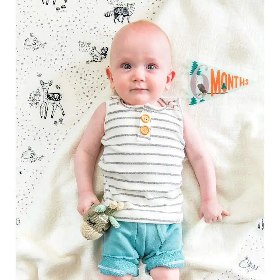 Little Camper Petit Milestone Pennant
