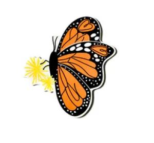 Monarch  Big Attachment