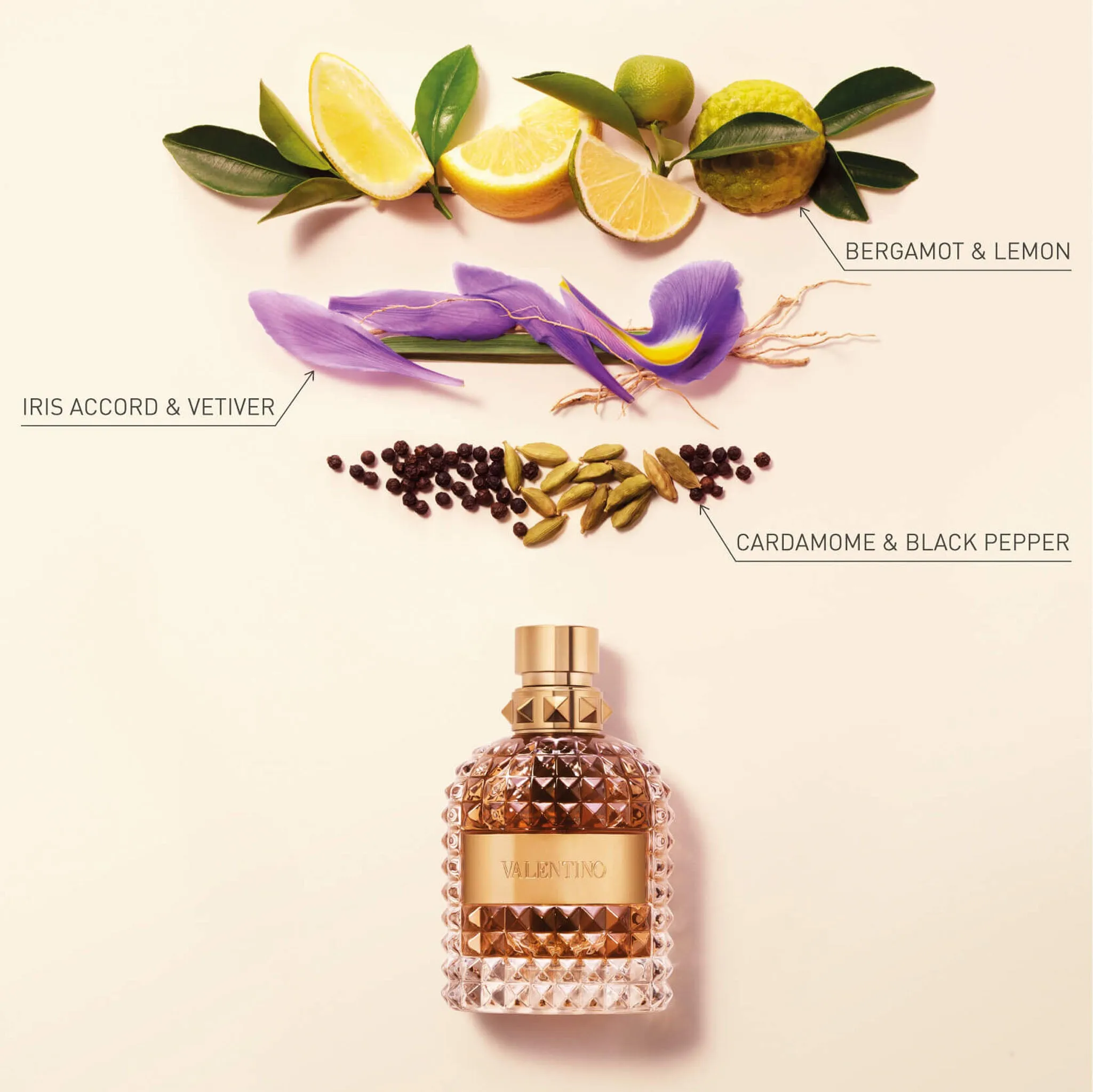 Nước Hoa Nam Valentino Uomo EDT