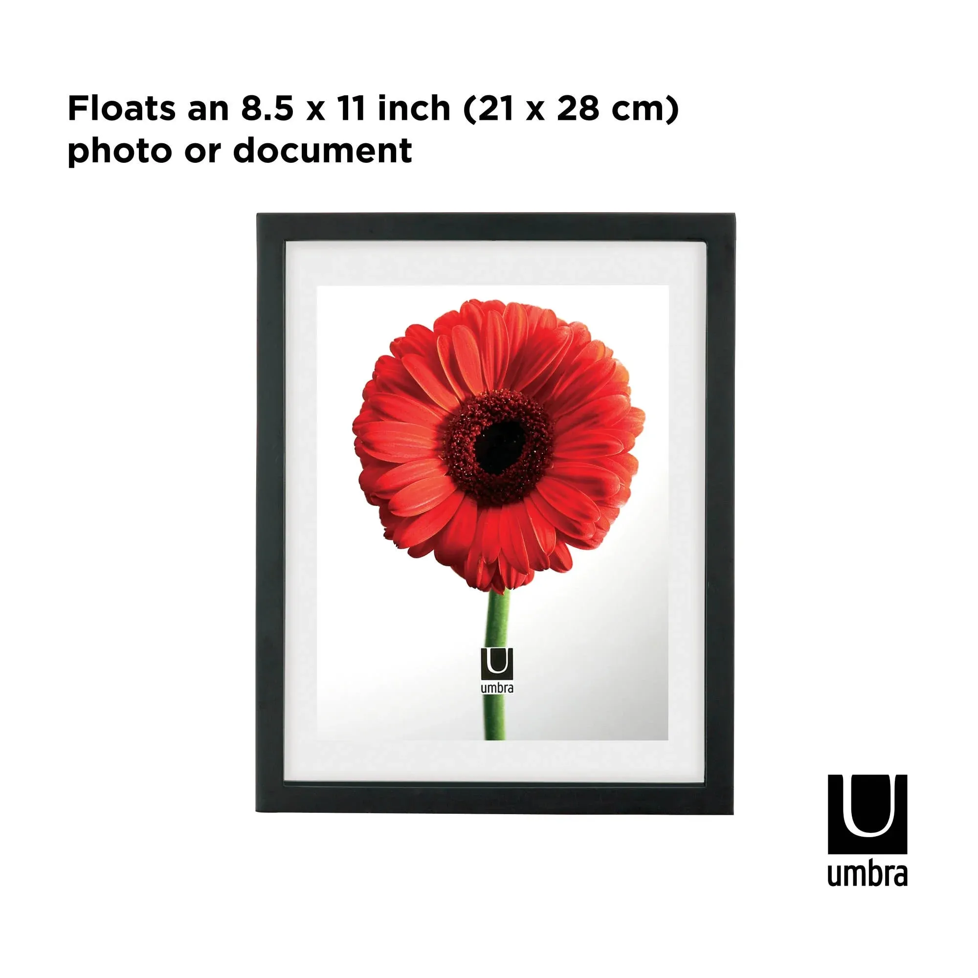 NEW Umbra Photo Frame 13"x16" Diploma, Certificate, Photo Or Artwork