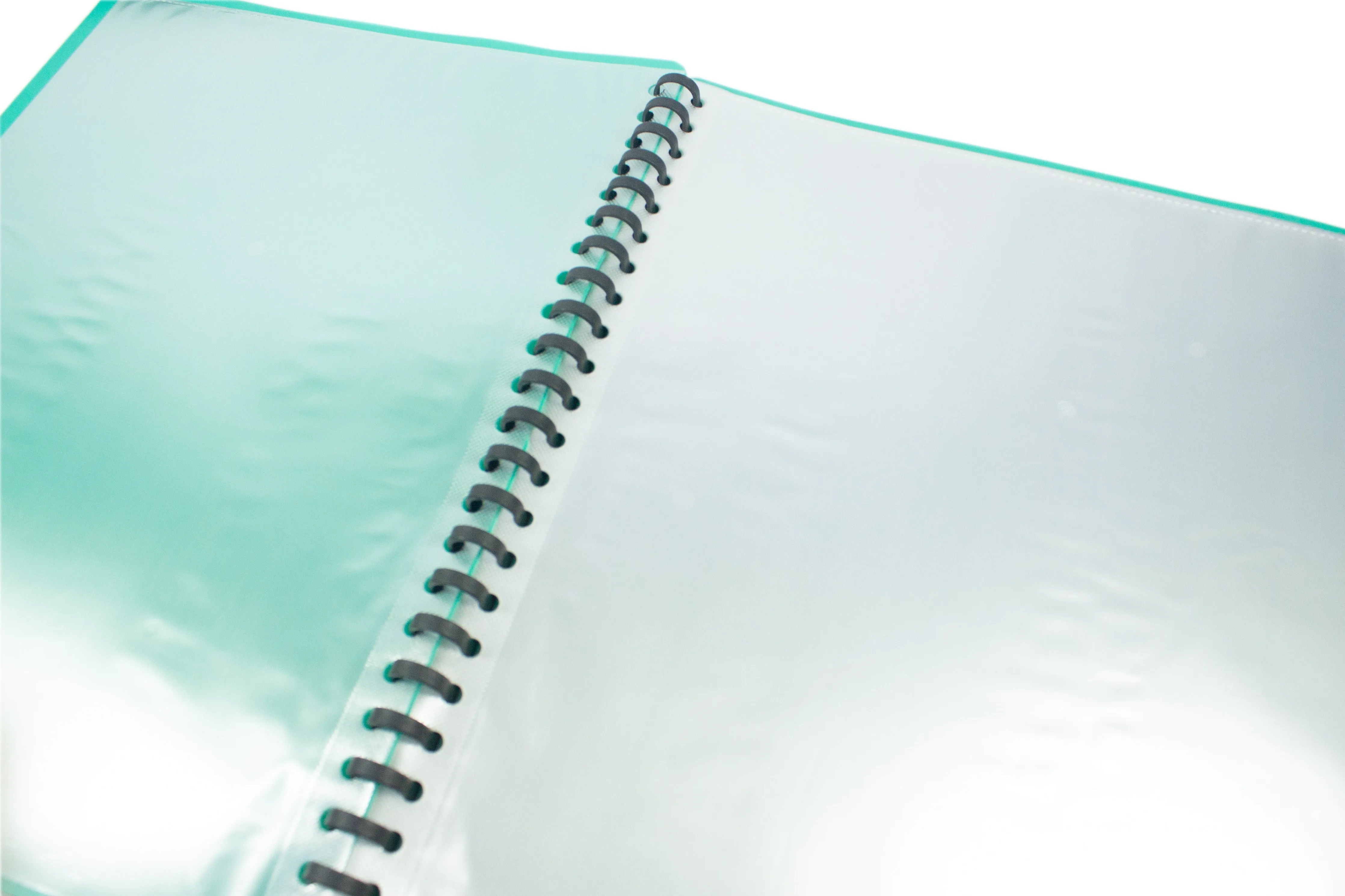 Ordinary Clear Book Short | 12pcs