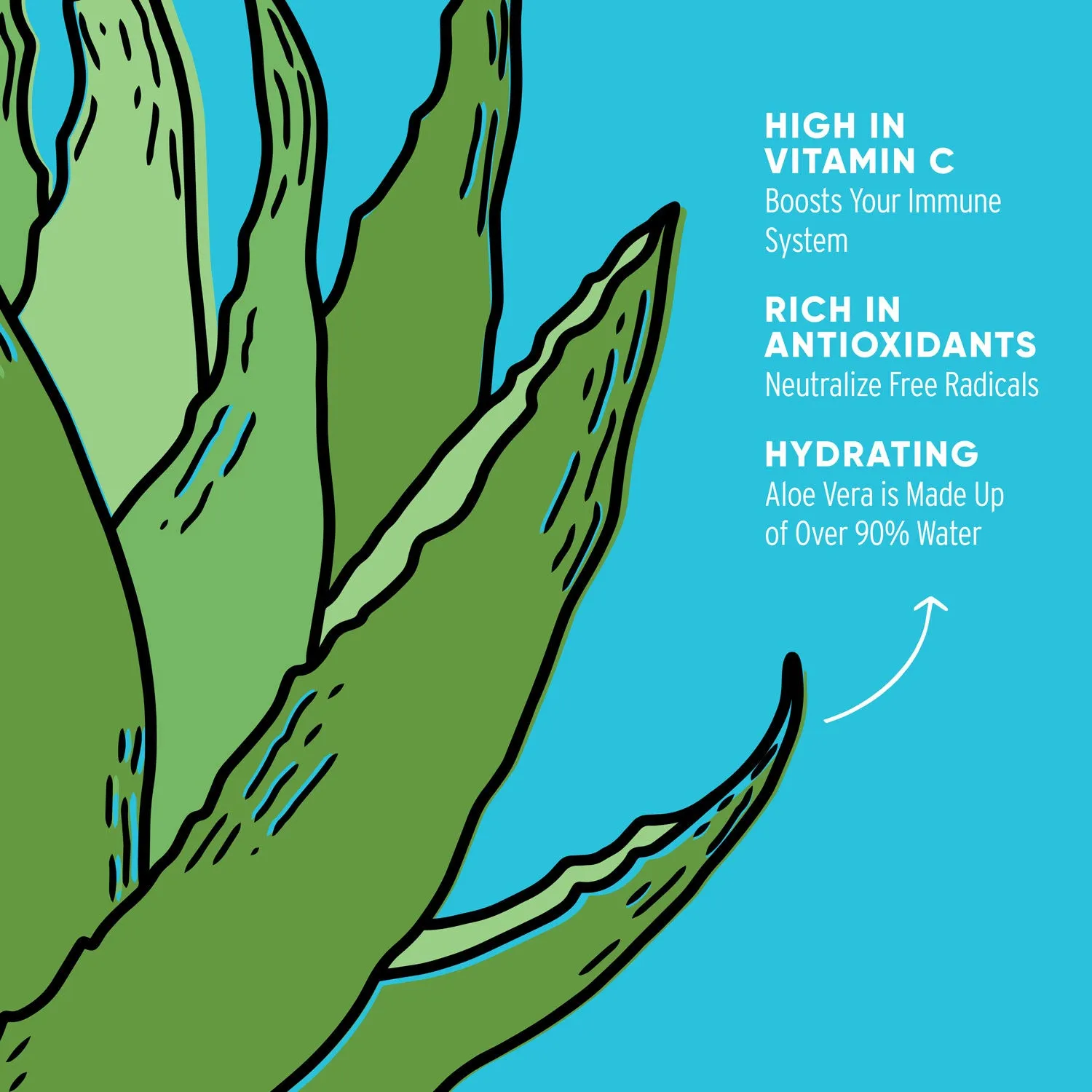 Organic Aloe Vera Bite-Sized Pieces 8 X 12oz Bags- Retail
