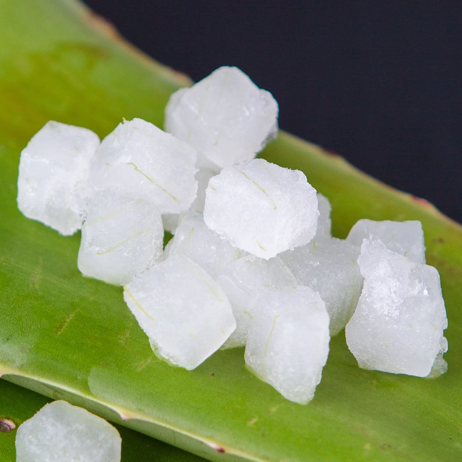 Organic Aloe Vera Bite-Sized Pieces Case