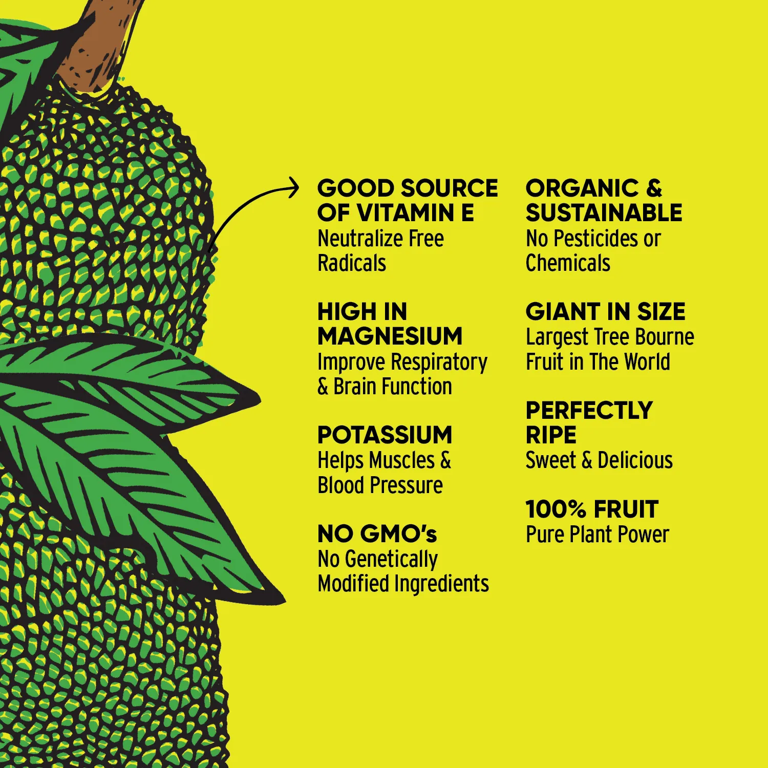 Organic Ripe Jackfruit Bite-Sized Pieces 8 X 12oz Bags - Retail