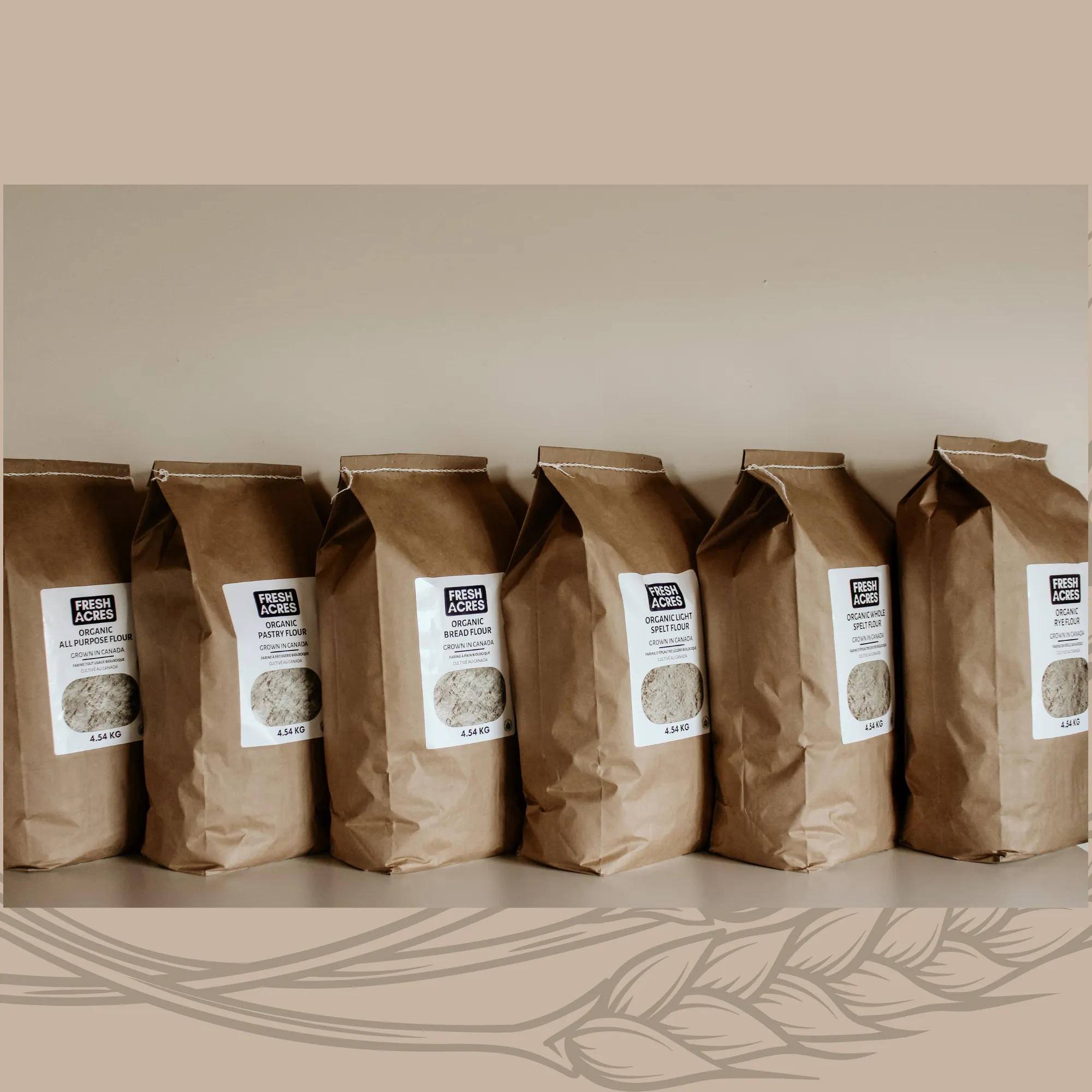 Organic Whole Dark Rye Flour - 4.54kg (10lb)
