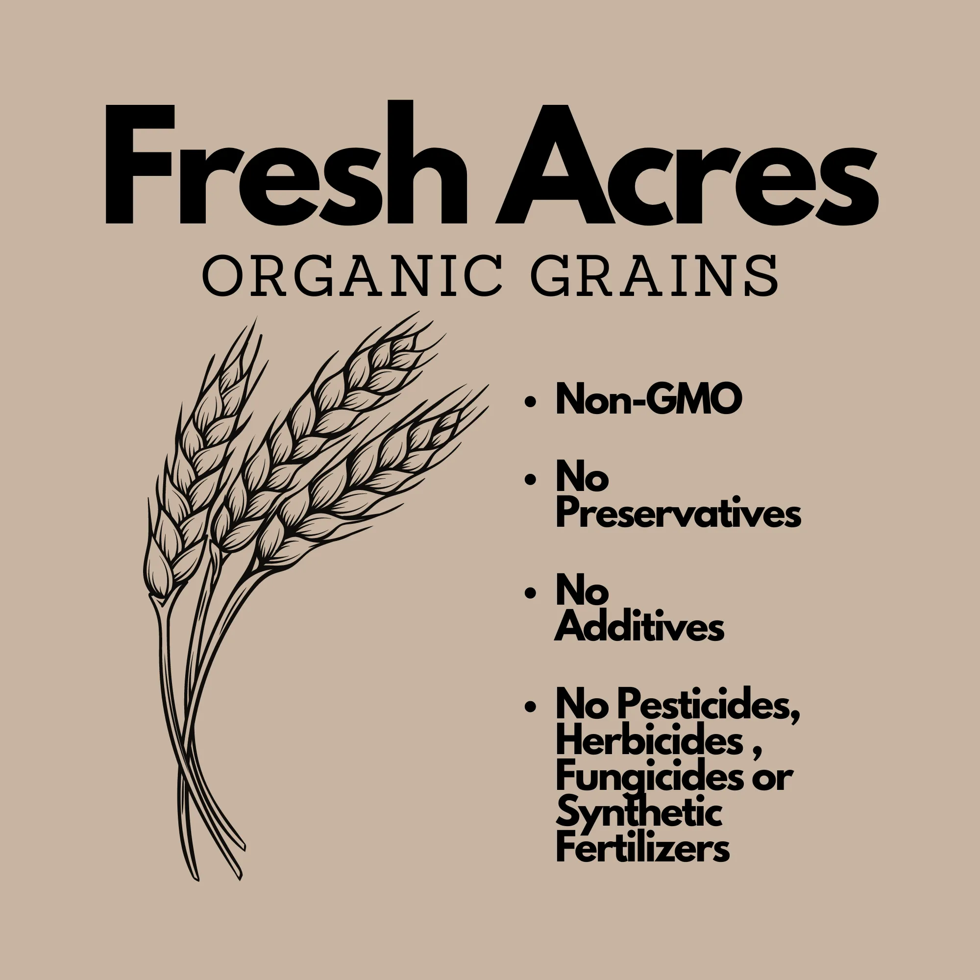 Organic Whole Dark Rye Flour - 4.54kg (10lb)