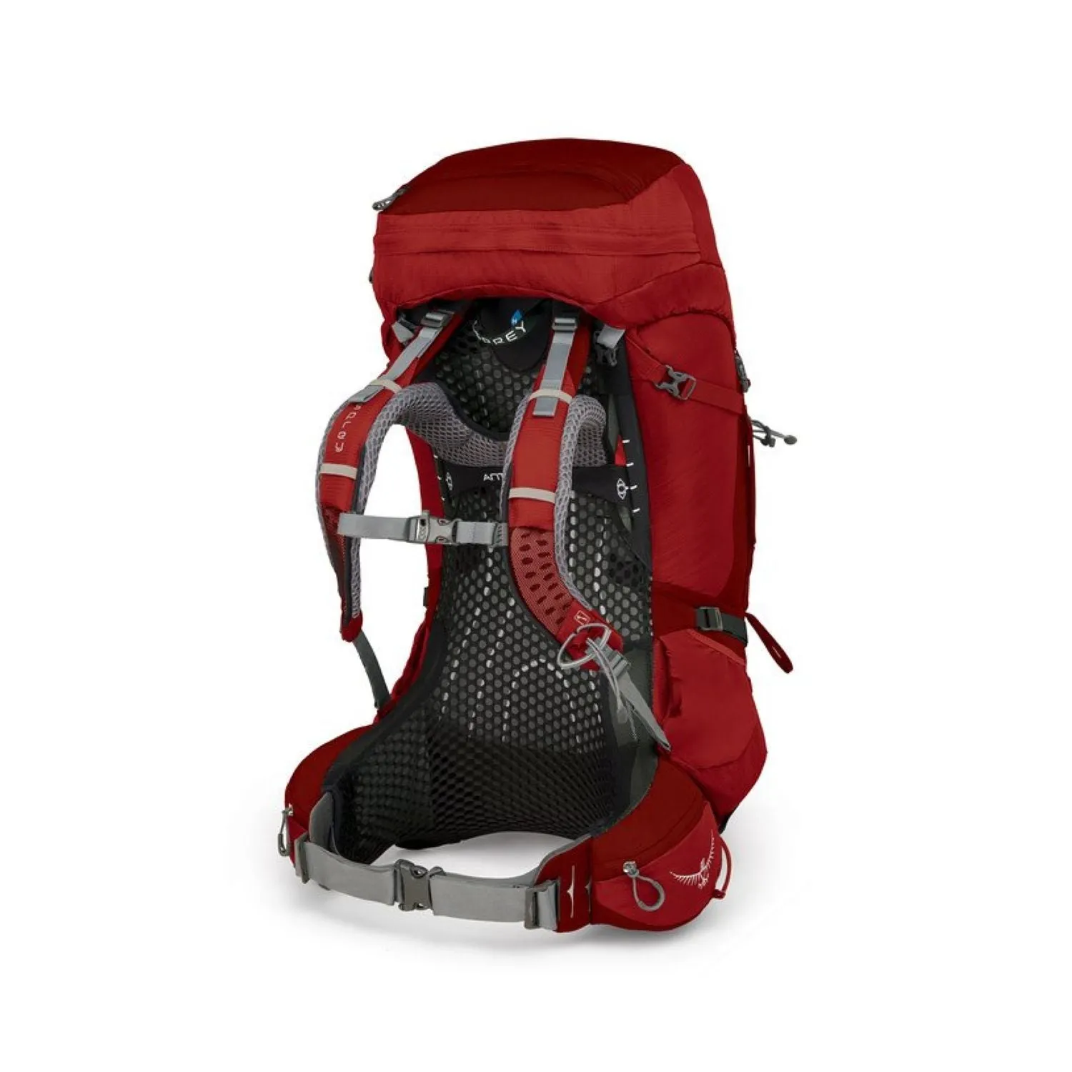 Osprey Atmos AG 65 Backpack with Raincover - Medium - Men's Backpacking (SA)