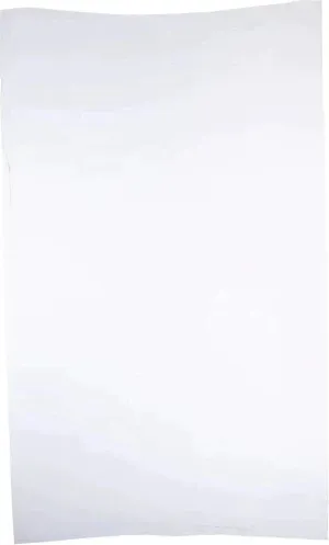 RiteSource - 9 lb, 7 x 3 x 18" White Poly Bags, 500/bx - 0306510