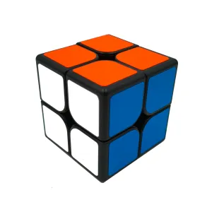 ShengShou Mr M 2x2