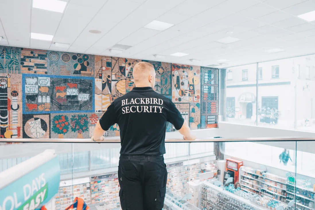 Shopping Mall Security