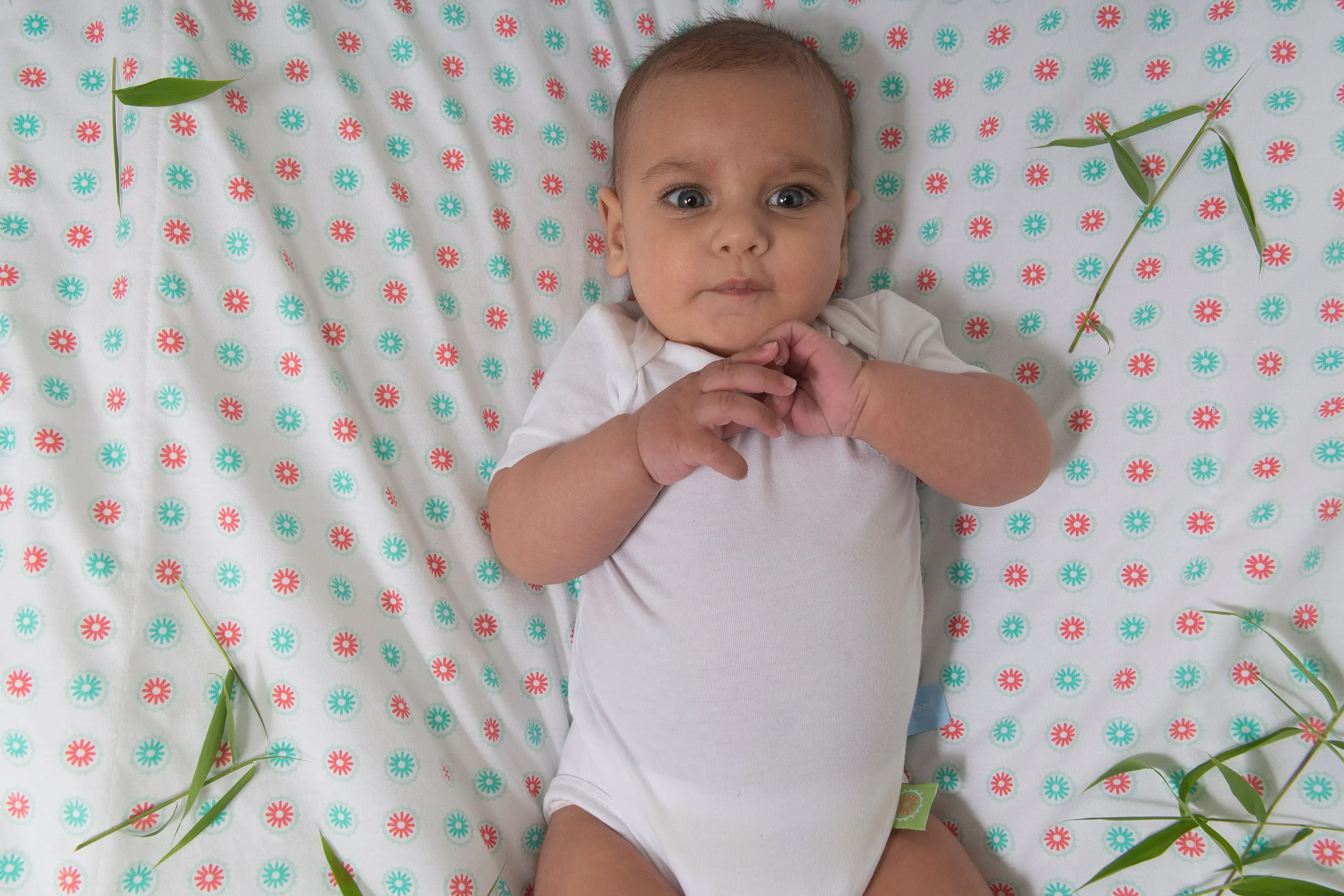 Snoozebaby Short Sleeve Romper in White - 4 Sizes