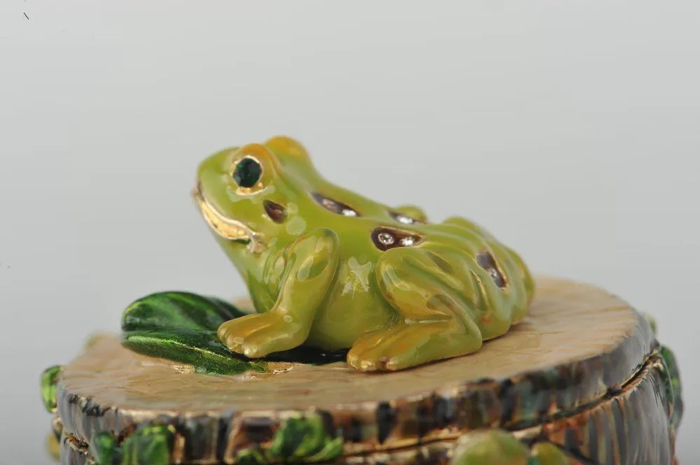 Three Frogs on Tree Trunk