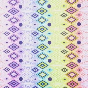 Tula Pink Tabby Road Deja Vu Minky Disco Lucy Prism  fabric