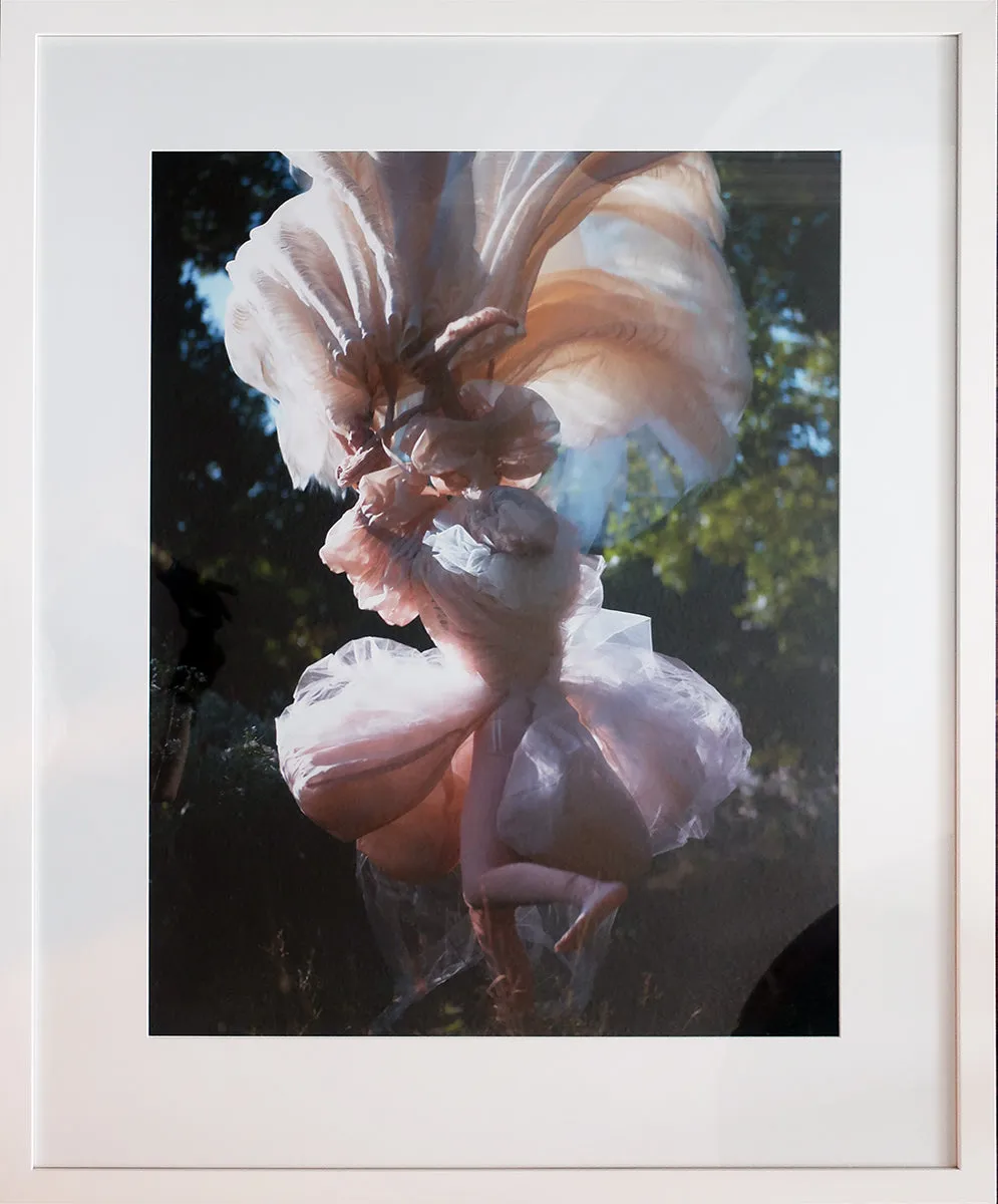 Untitled #14 (from "The Garden Document")