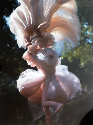 Untitled #14 (from "The Garden Document")